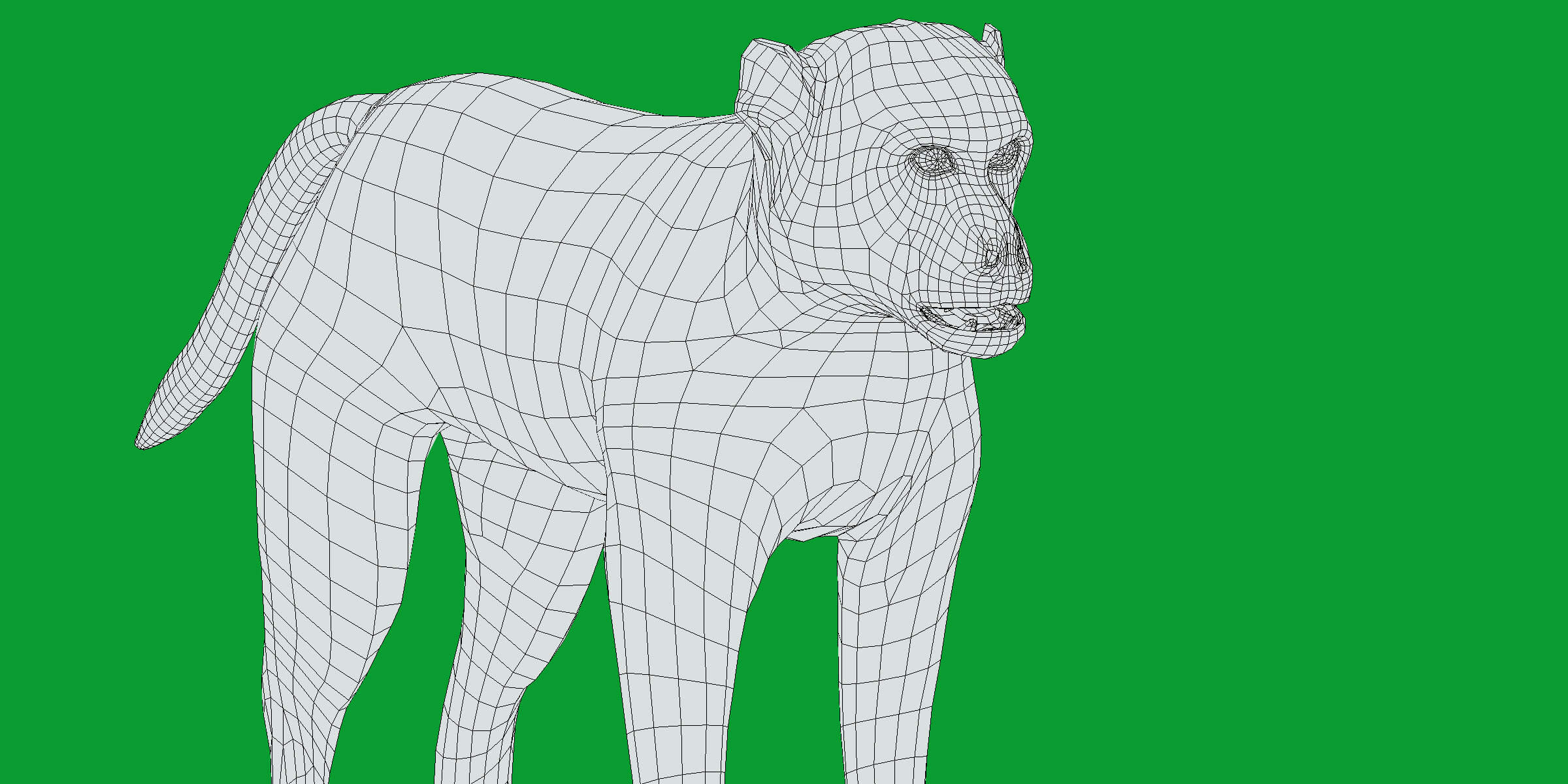 Rhesus Macaque Monkey 3D Model
