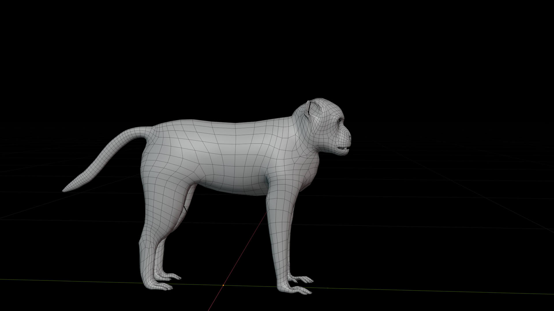 Rhesus Macaque Monkey 3D Model