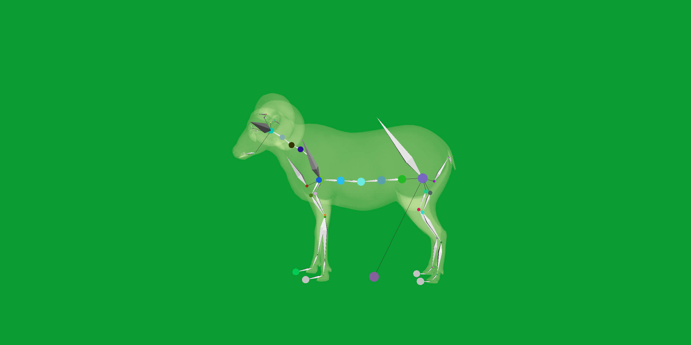 Texas Dall Sheep 3D Model