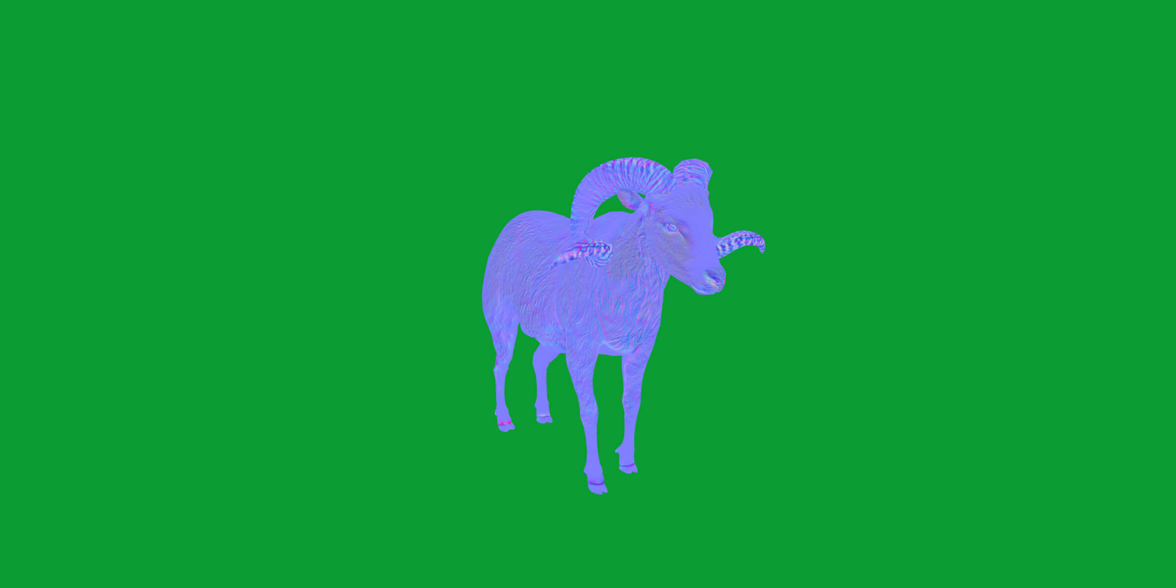 Texas Dall Sheep 3D Model