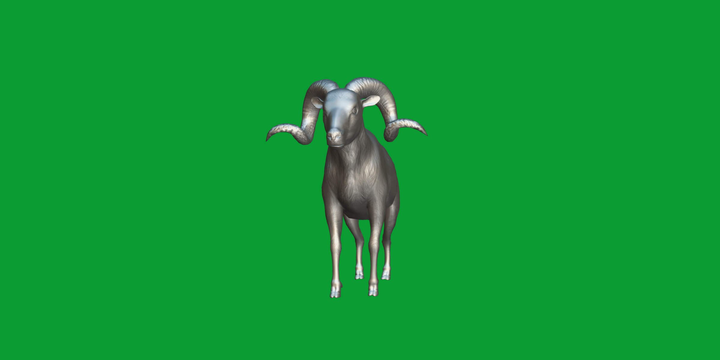 Texas Dall Sheep 3D Model