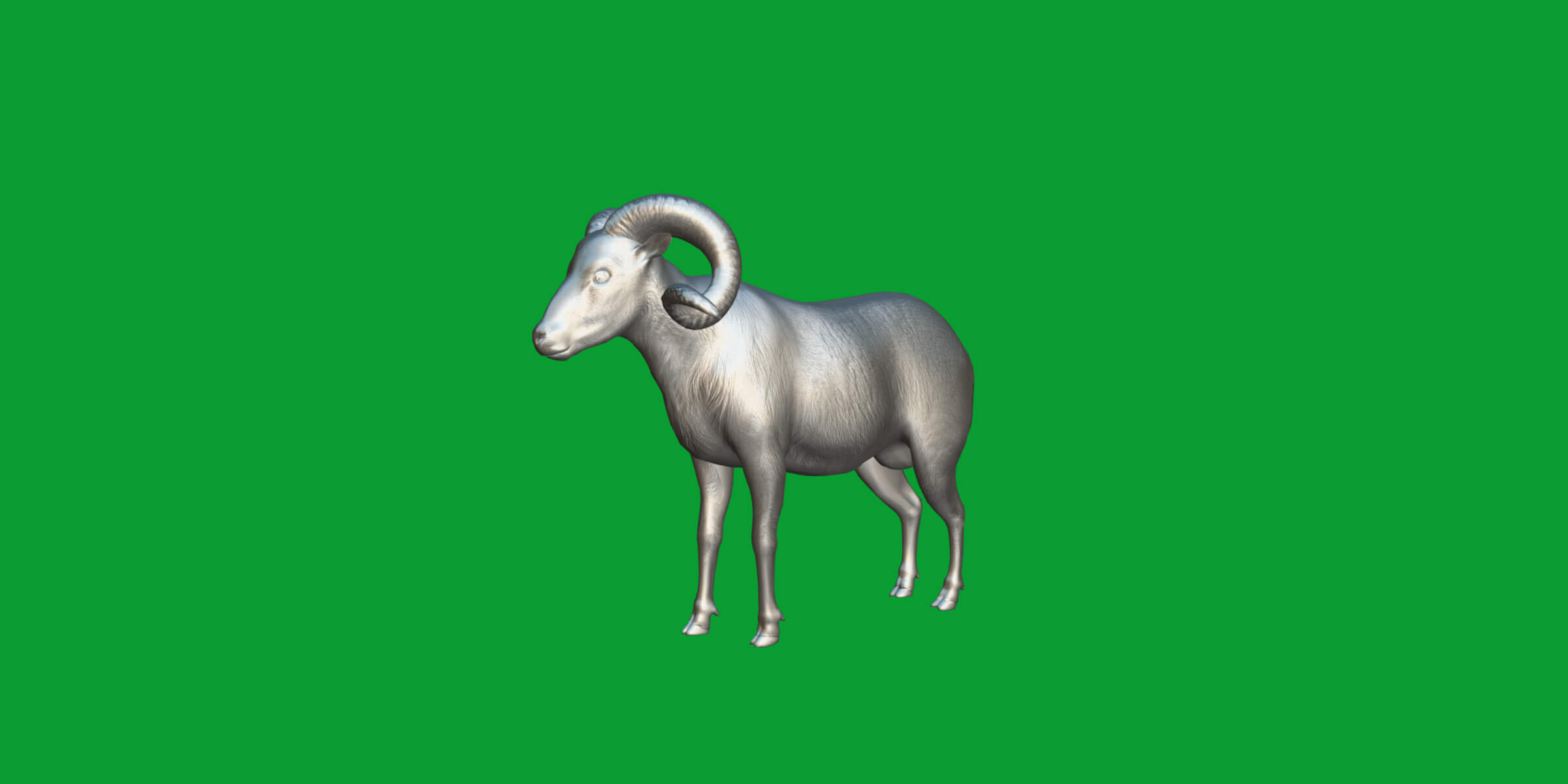 Texas Dall Sheep 3D Model