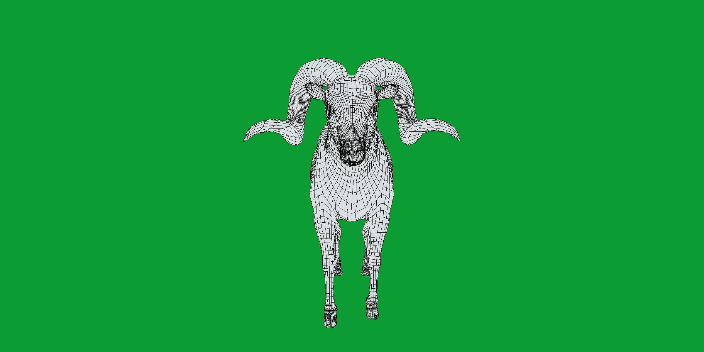 Texas Dall Sheep 3D Model