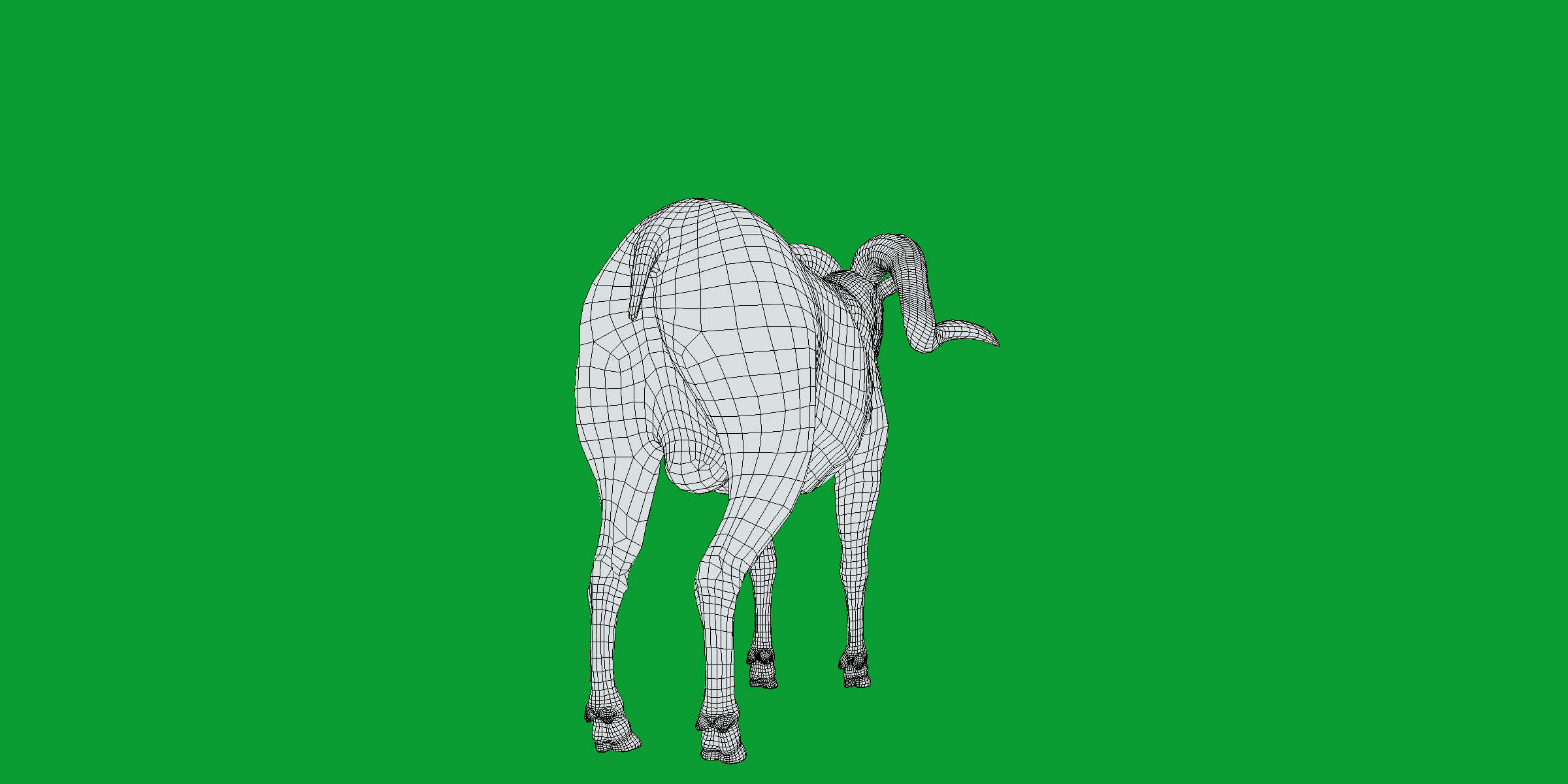 Texas Dall Sheep 3D Model