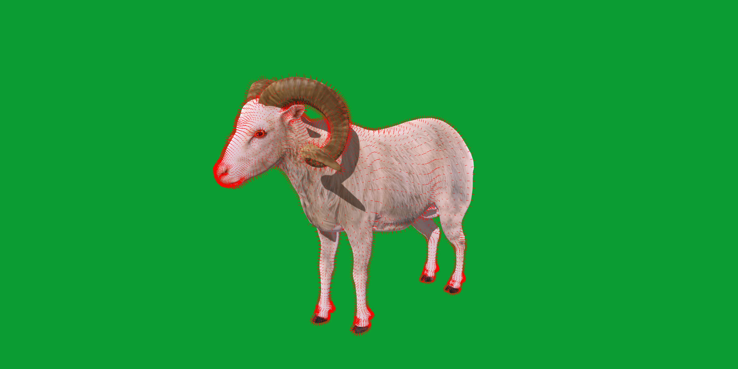 Texas Dall Sheep 3D Model