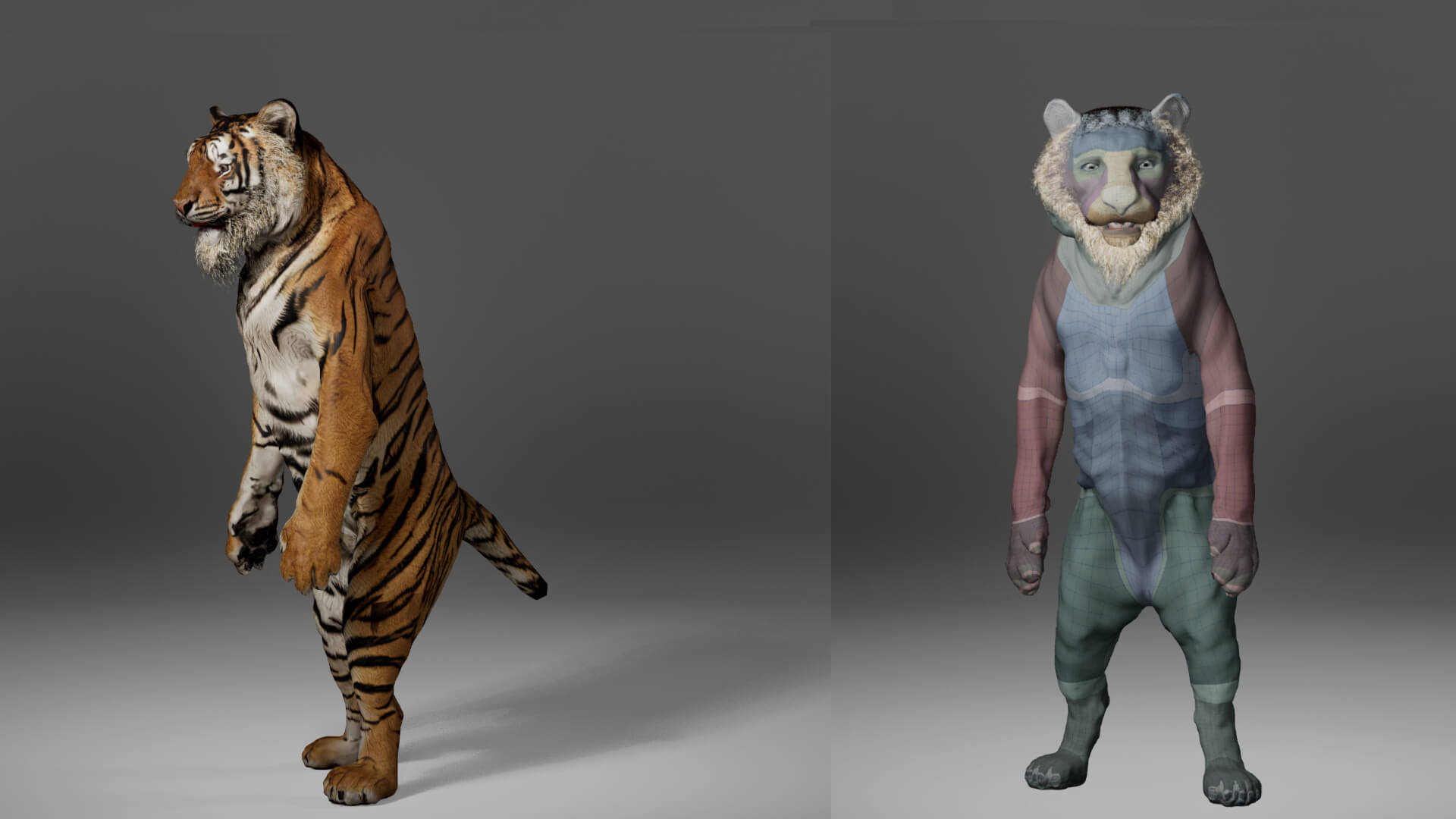 Tiger Metahuman Character 3D Model