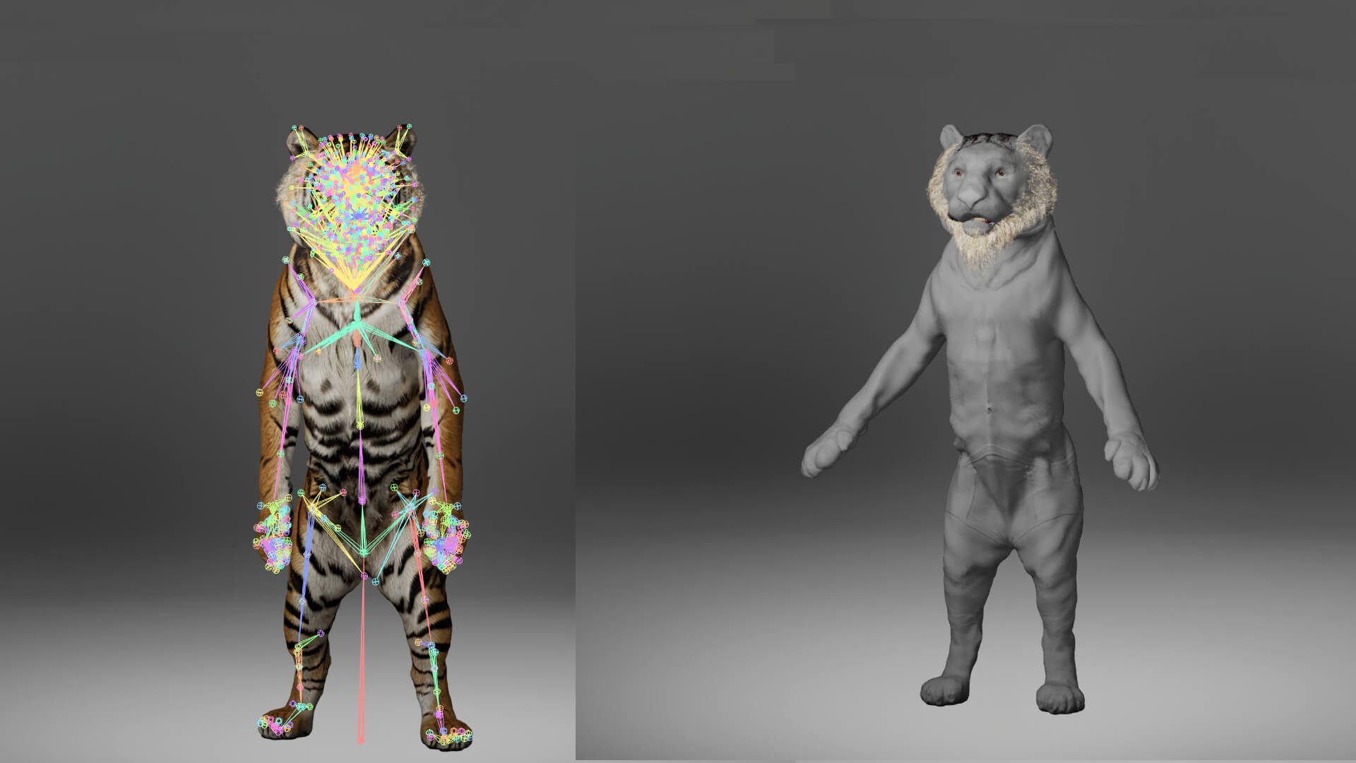Tiger Metahuman Character 3D Model