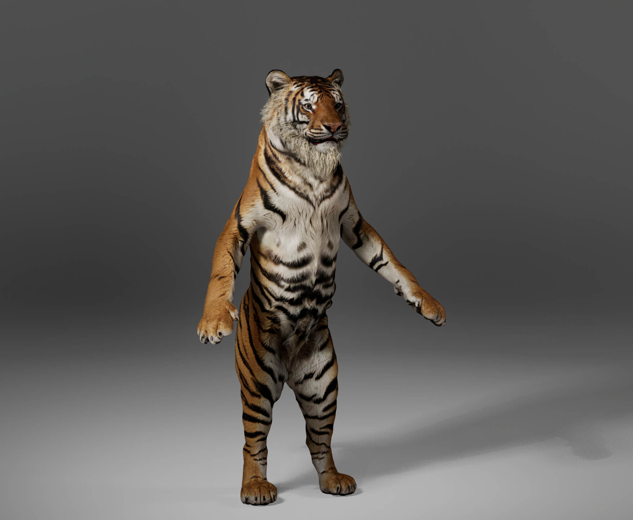 Tiger Metahuman Character 3D Model