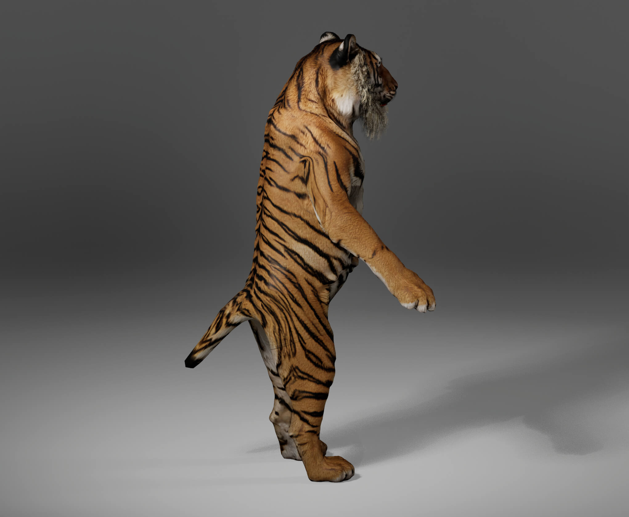 Tiger Metahuman Character 3D Model