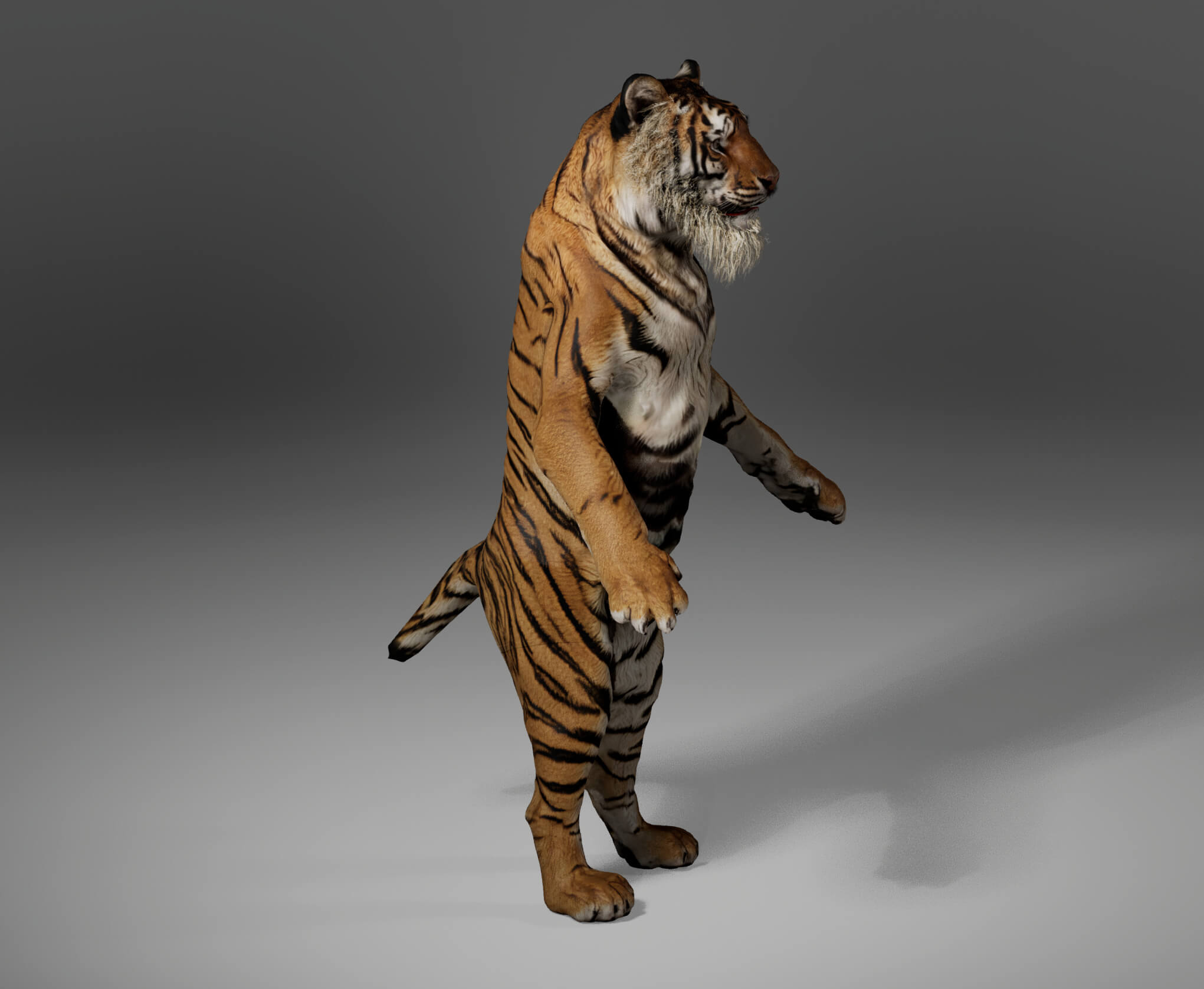 Tiger Metahuman Character 3D Model