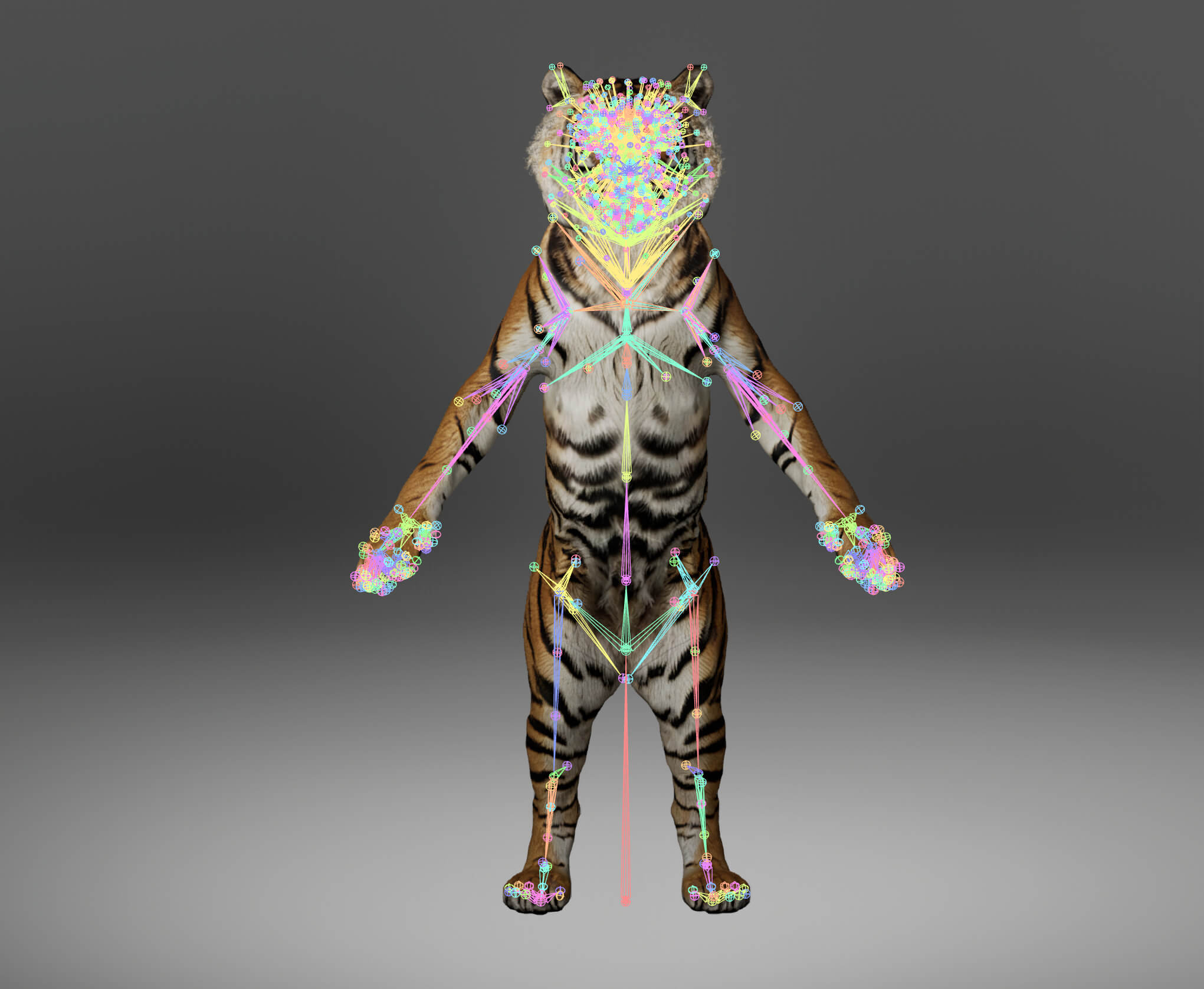 Tiger Metahuman Character 3D Model