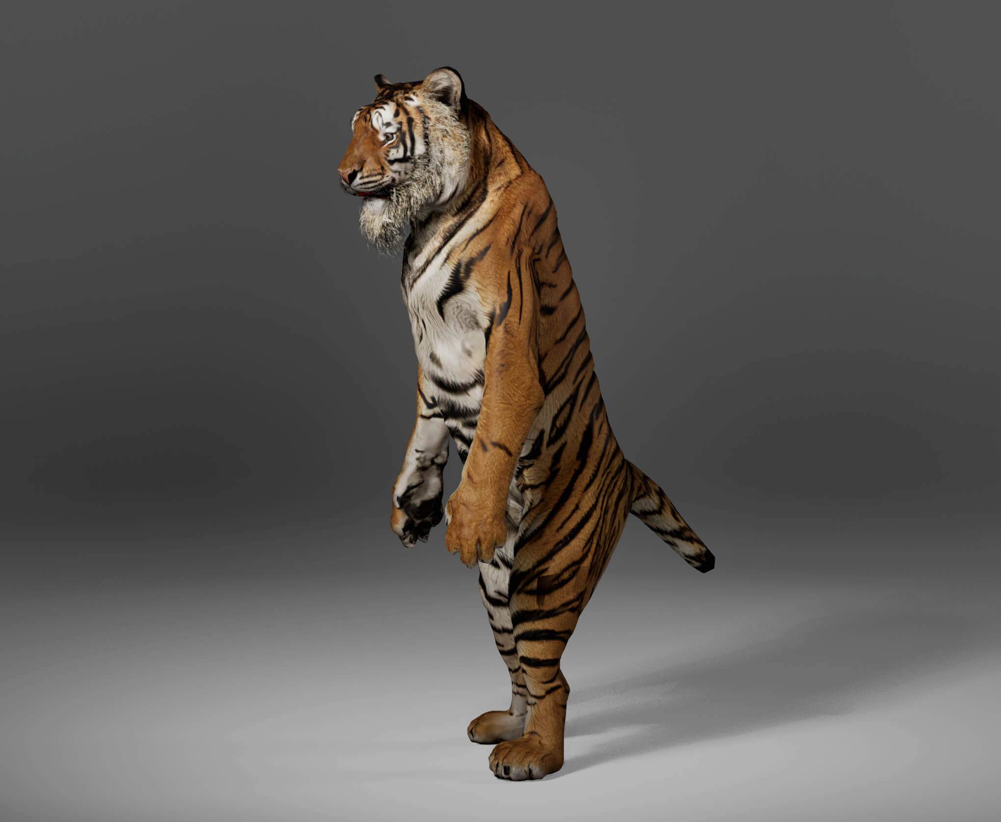 Tiger Metahuman Character 3D Model
