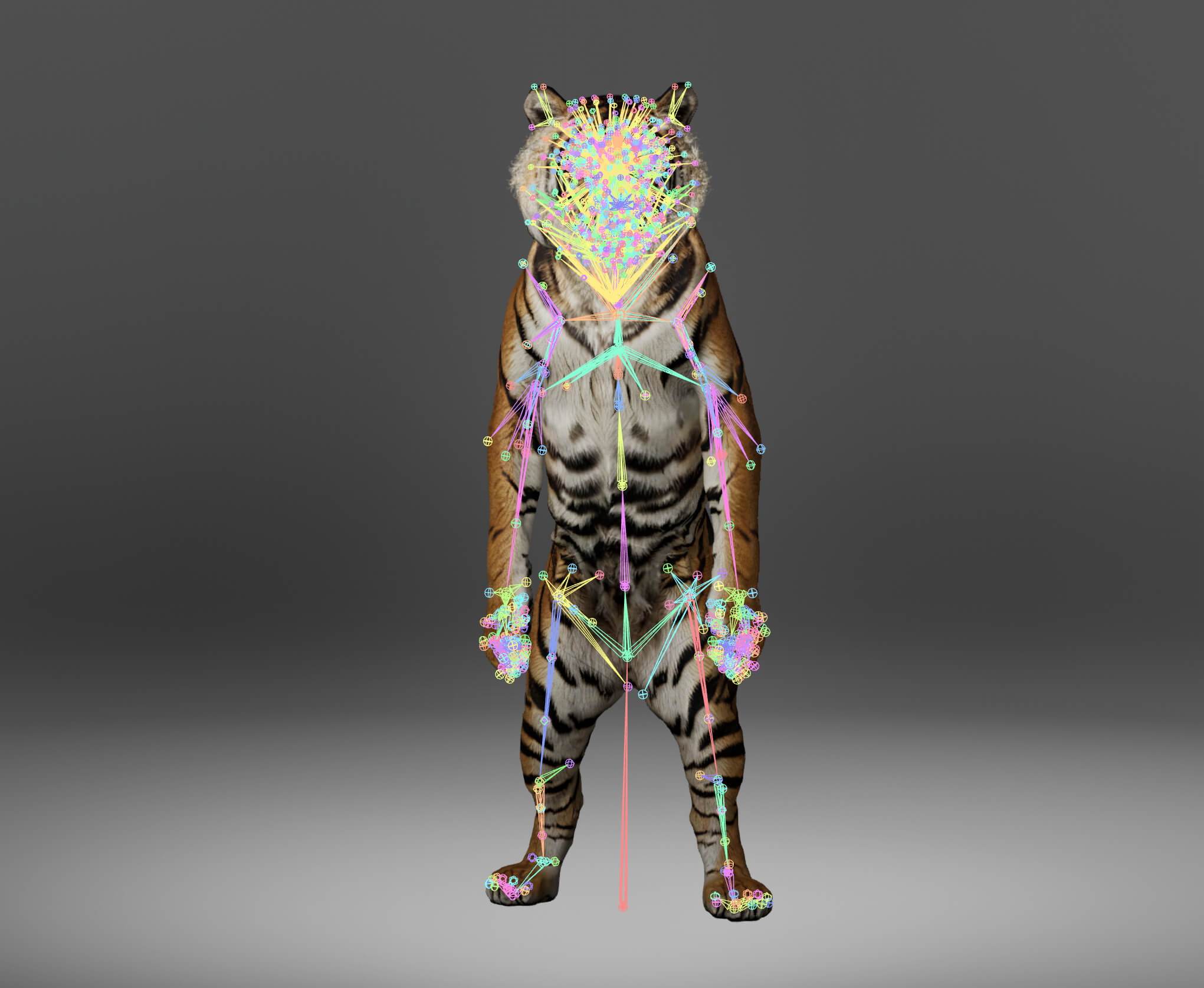Tiger Metahuman Character 3D Model