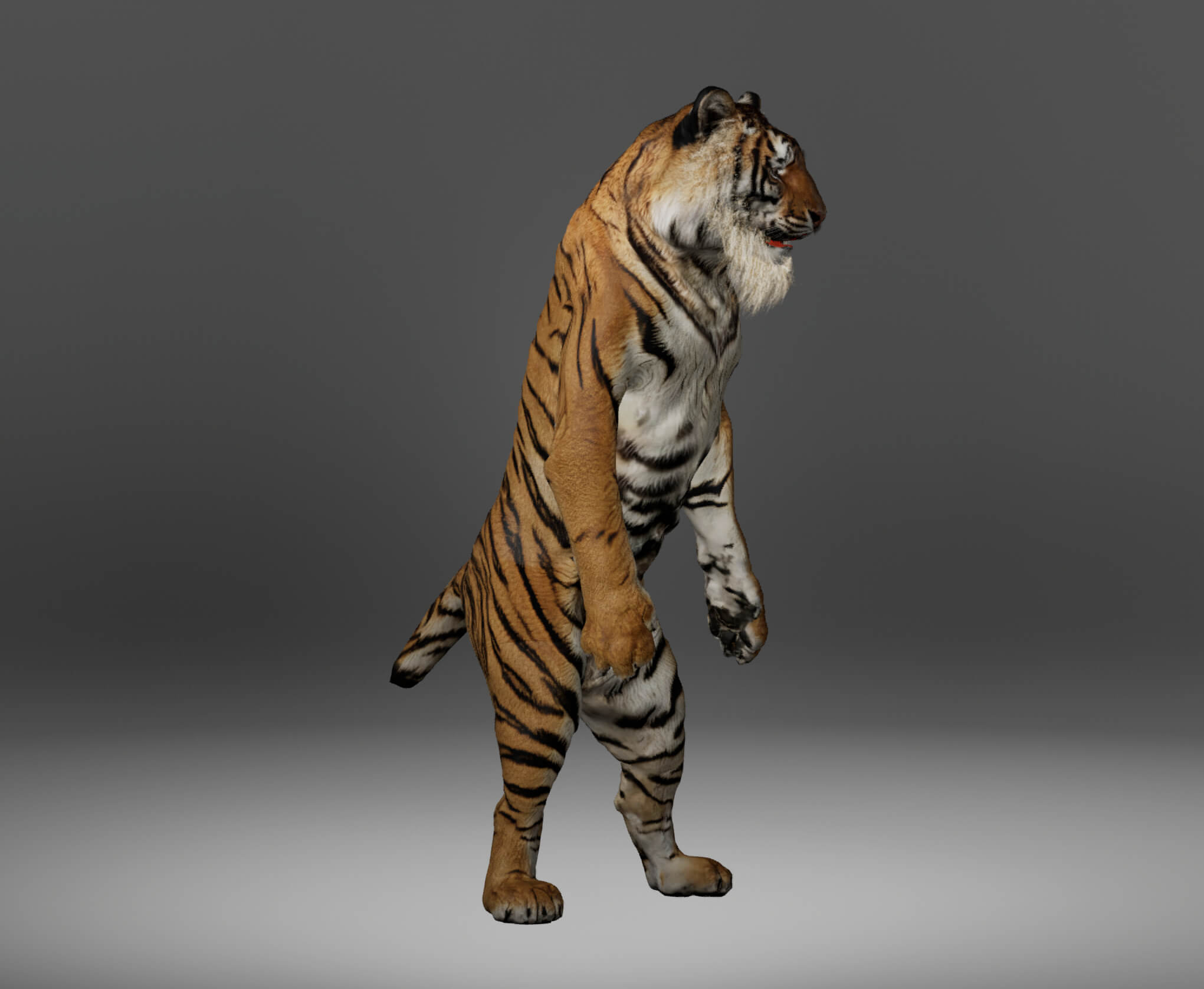 Tiger Metahuman Character 3D Model