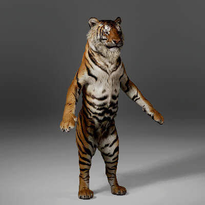 Tiger Metahuman Character