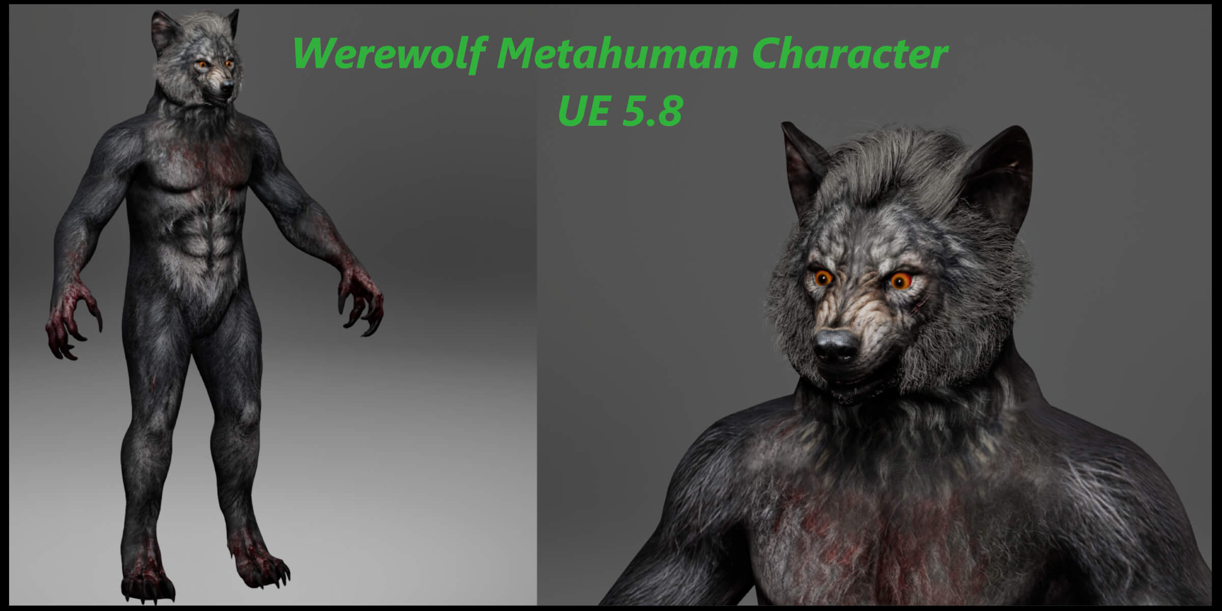 Werewolf Metahuman Character 3D Model