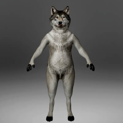 Wolf Metahuman Character