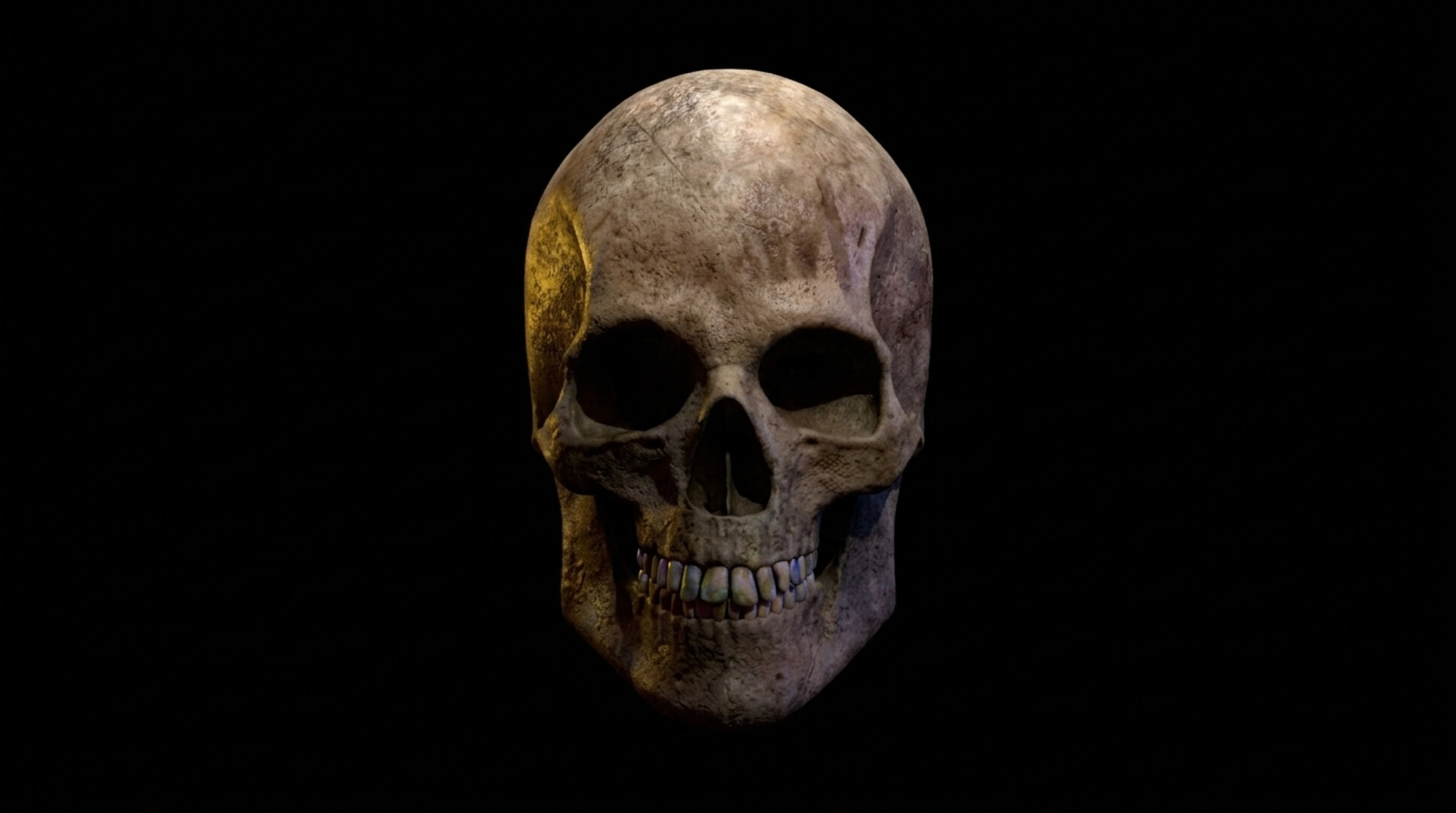 Old Human Skull &ndash Low-Poly PBR 3D Model 3D Model