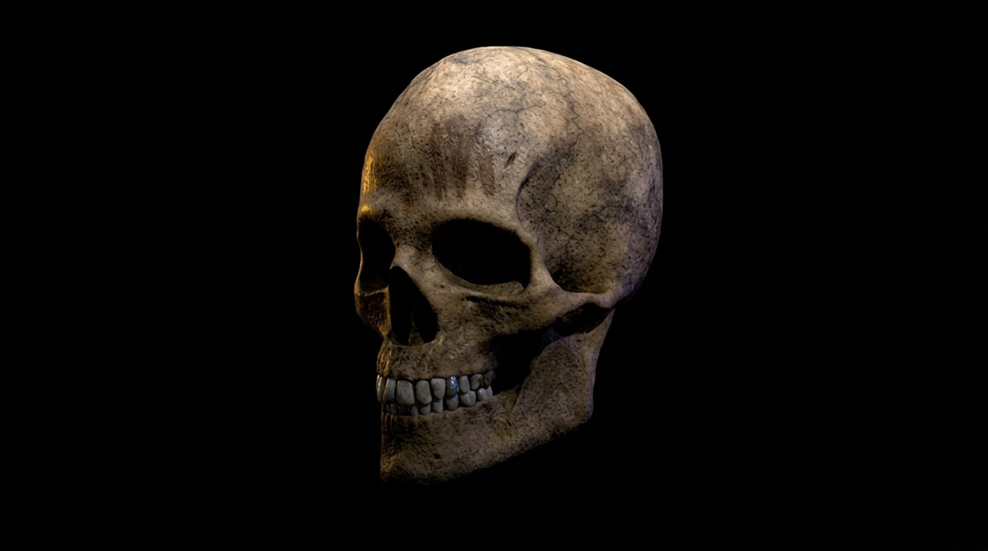 Old Human Skull &ndash Low-Poly PBR 3D Model 3D Model