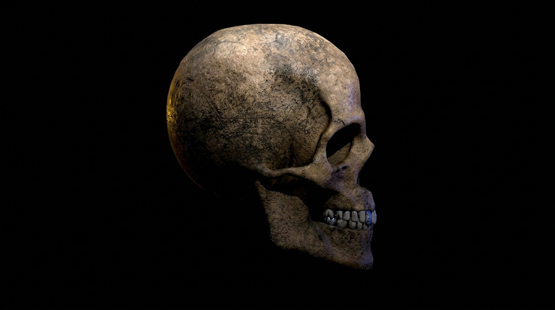 Old Human Skull &ndash Low-Poly PBR 3D Model 3D Model