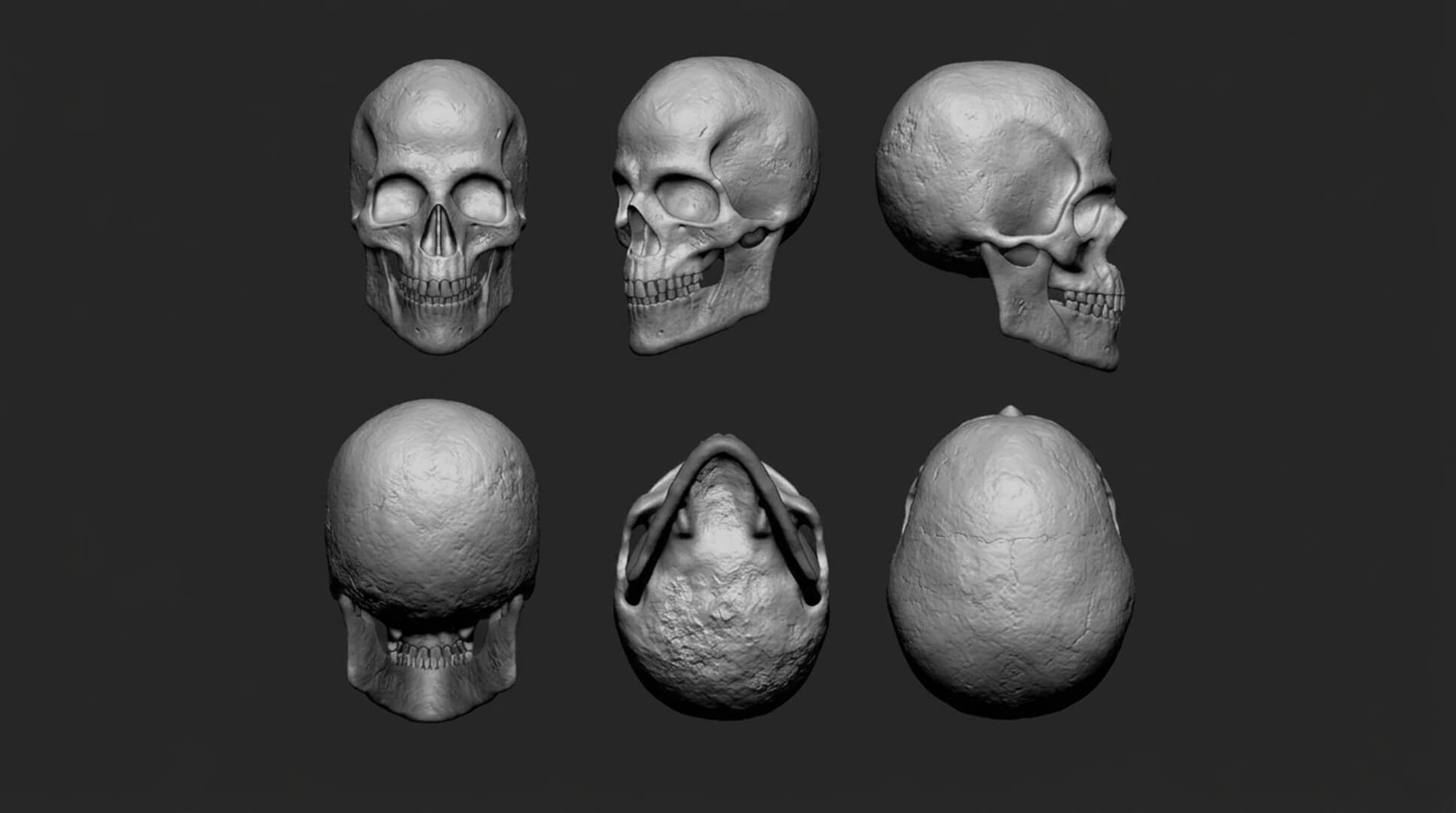 Old Human Skull &ndash Low-Poly PBR 3D Model 3D Model