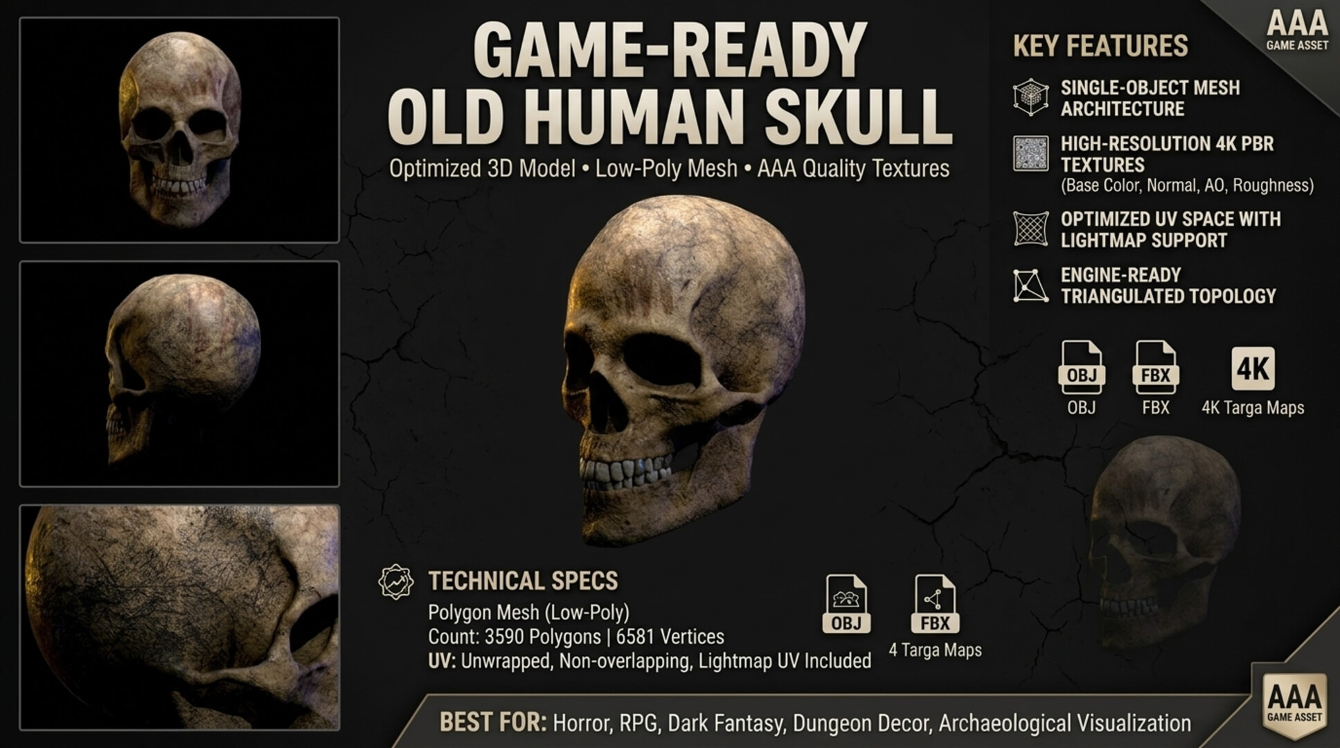 Old Human Skull &ndash Low-Poly PBR 3D Model 3D Model