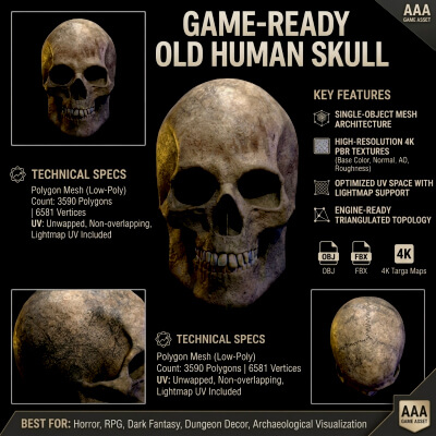 Old Human Skull &ndash; Low-Poly PBR 3D Model