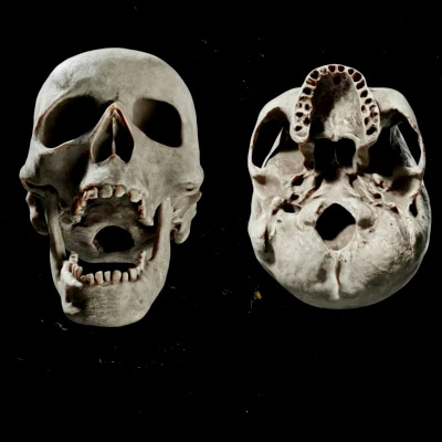 Photo Scanned & Hand Sculpted Skull 4K PBR Textures