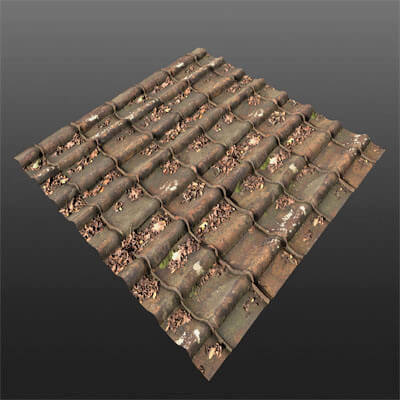 Dirty Roof Tiles