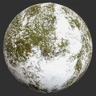Fresh Snow Moss