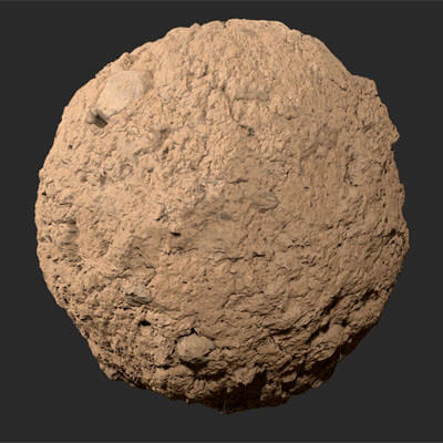 Muddy Stone Wall