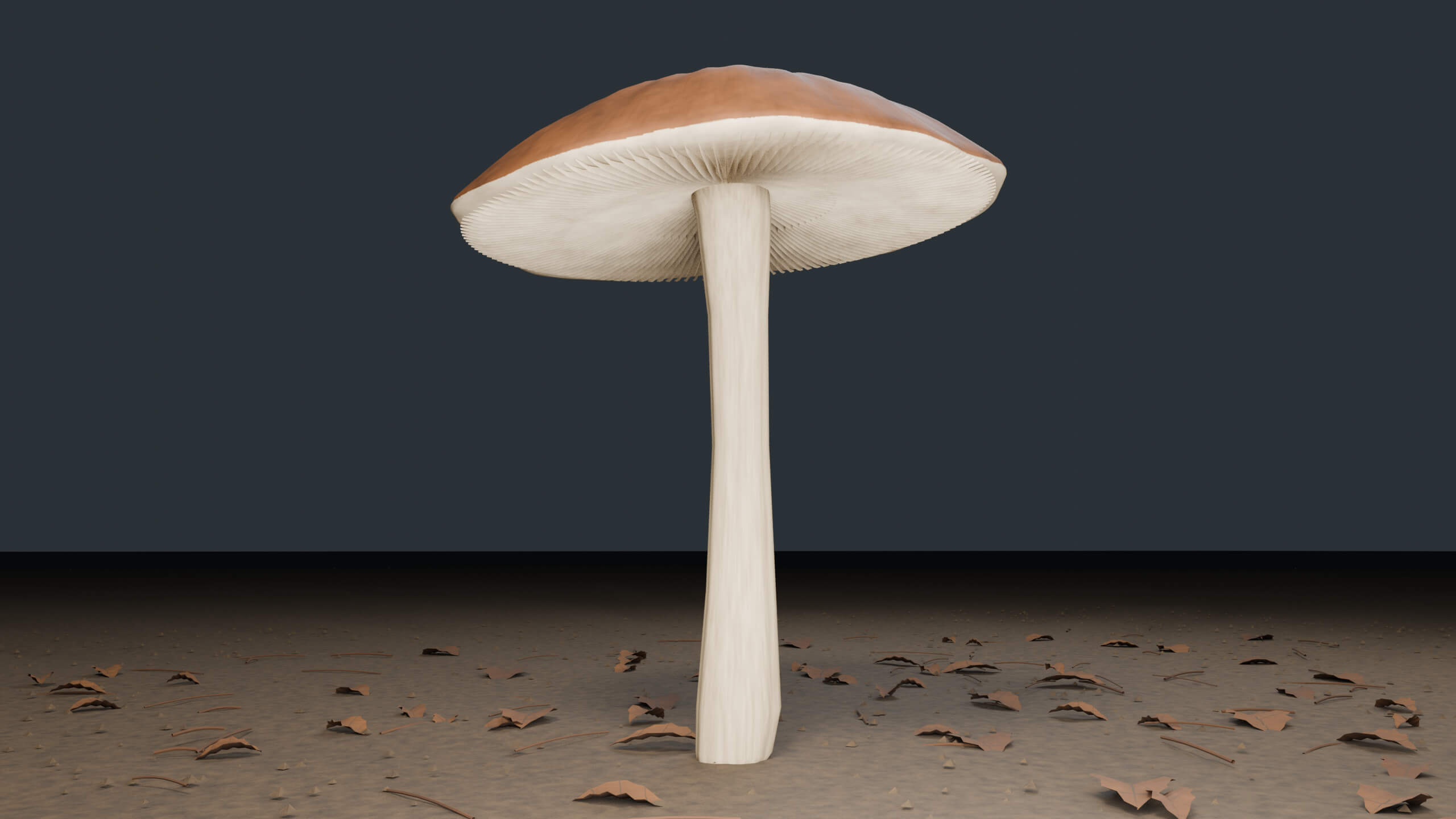 Woodland Mushrooms Moss and Stones - PBR Prop Kit 3D Model