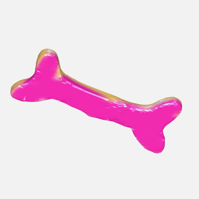 Bone Toy 3D Model