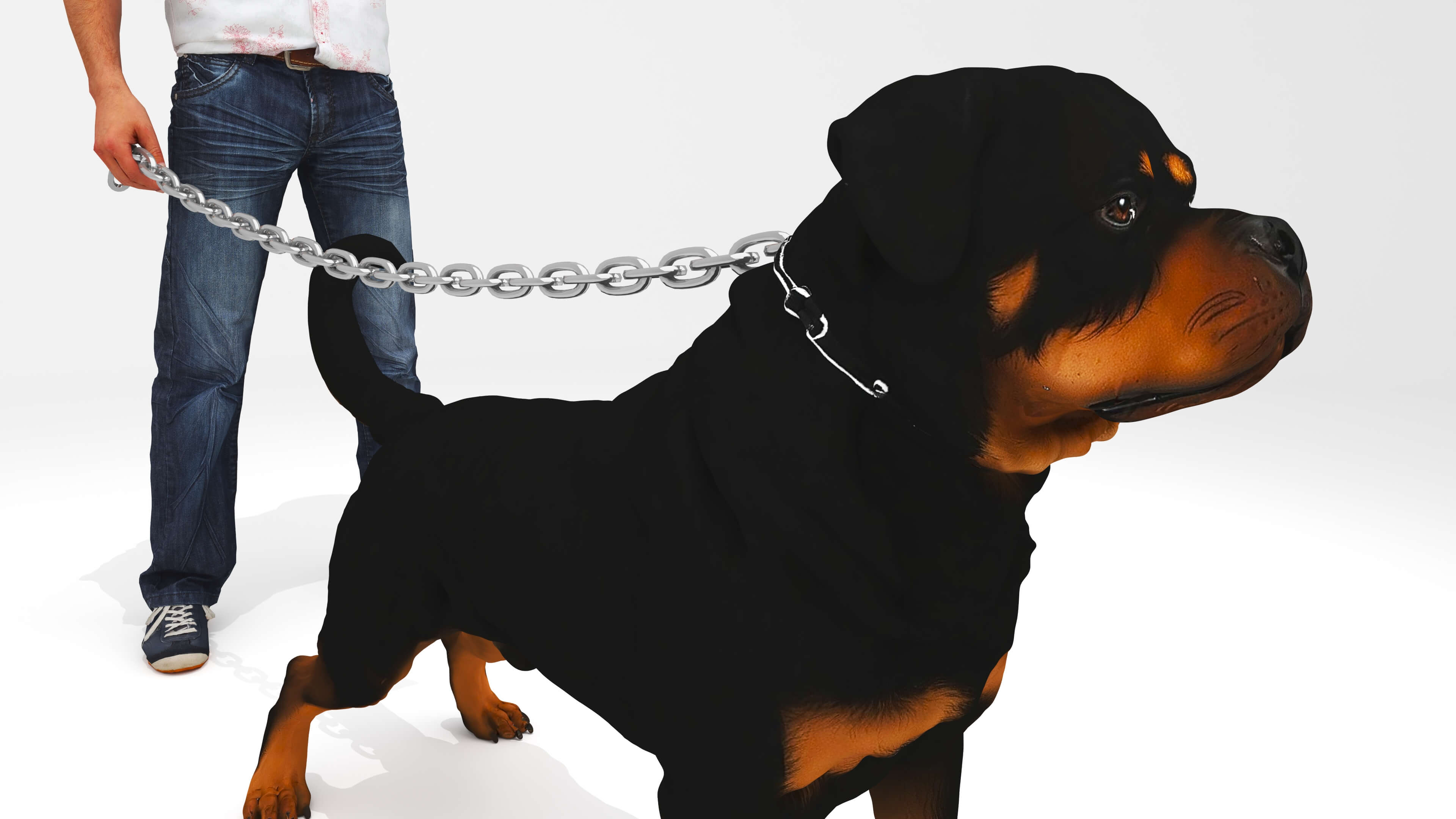 Protector Dog 3D Model