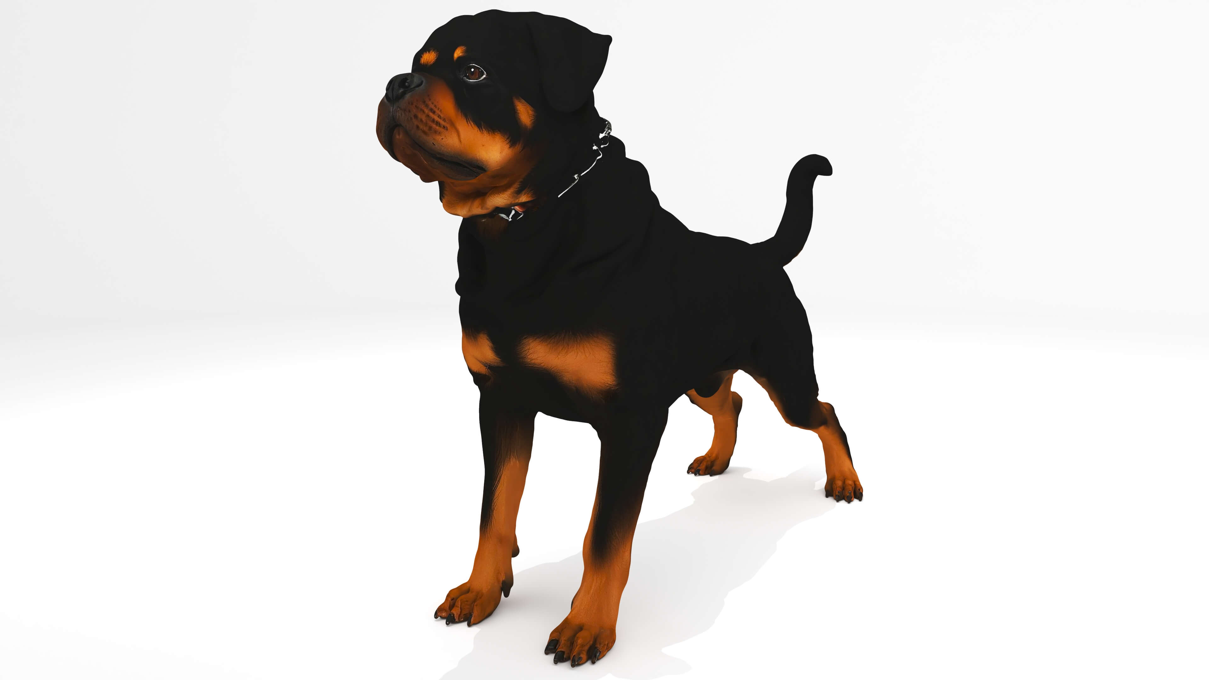Protector Dog 3D Model