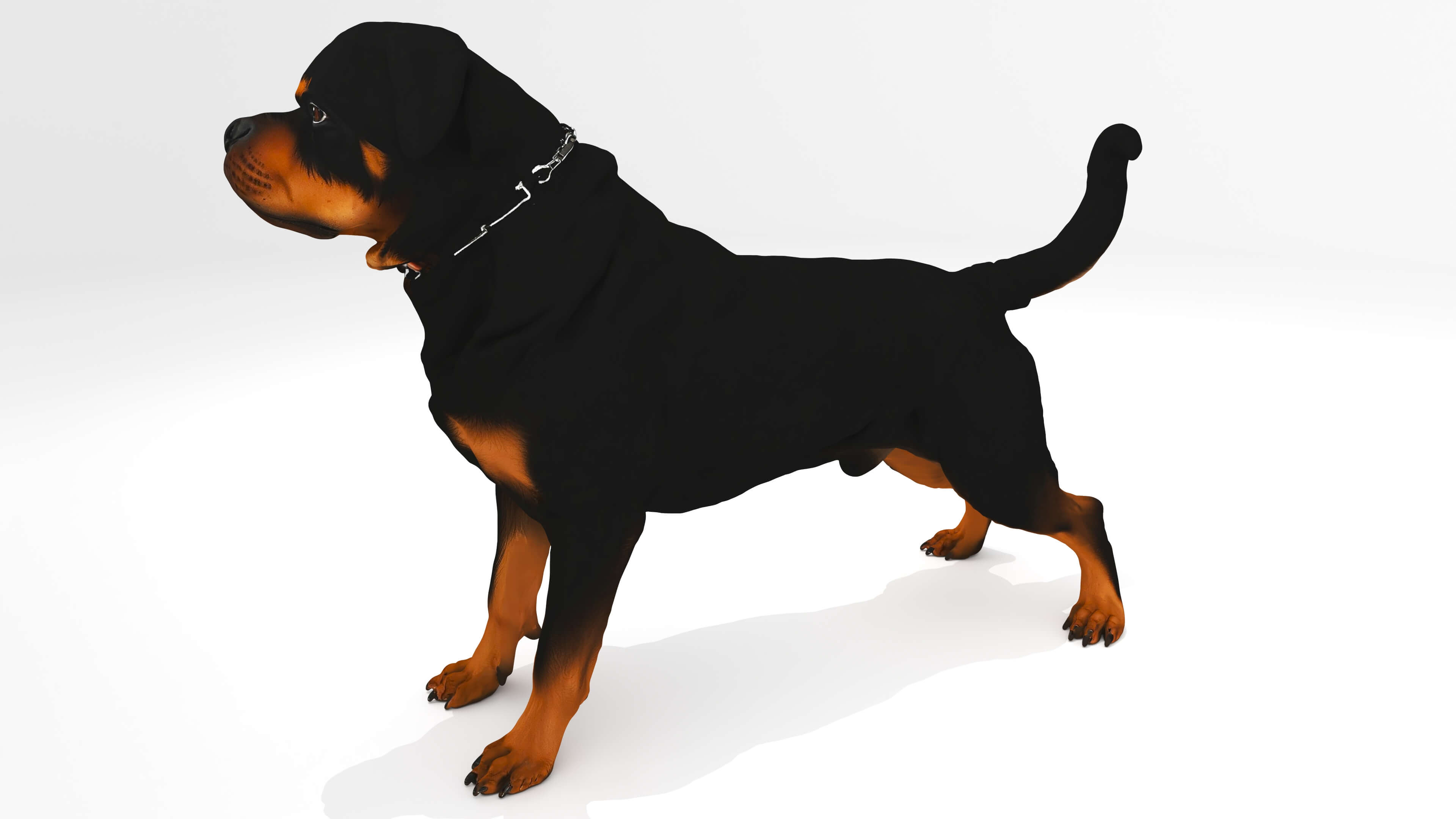 Protector Dog 3D Model