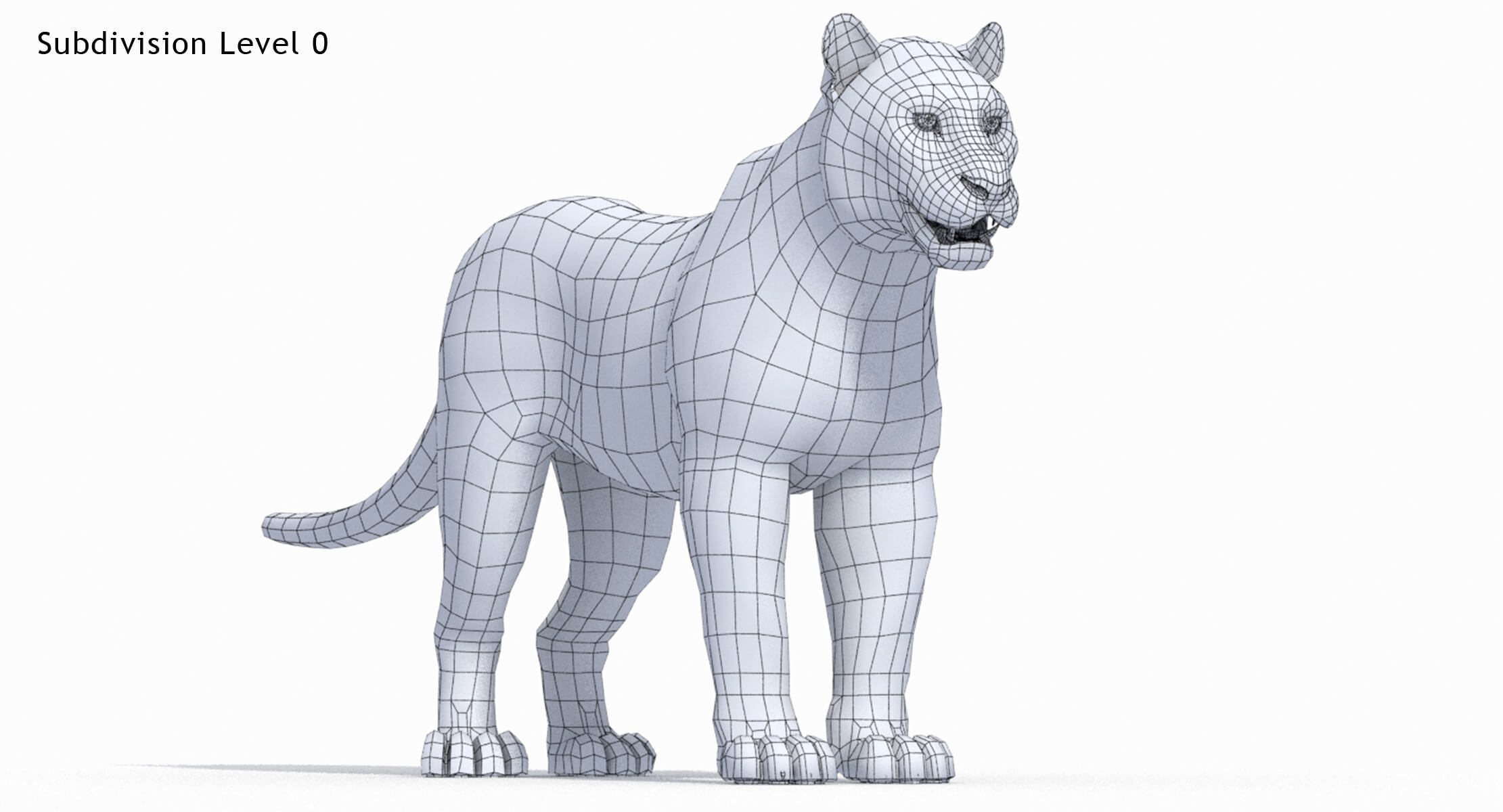 Tiger 3D Model 3D Model