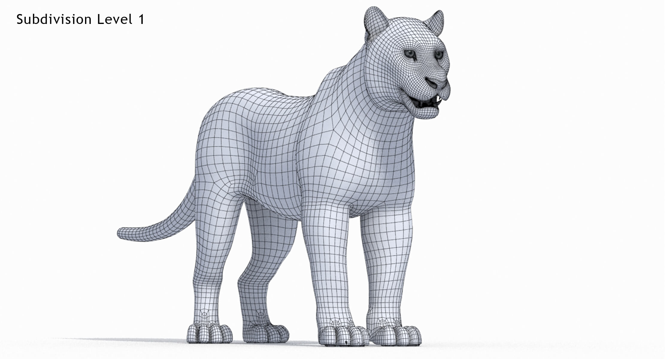 Tiger 3D Model 3D Model