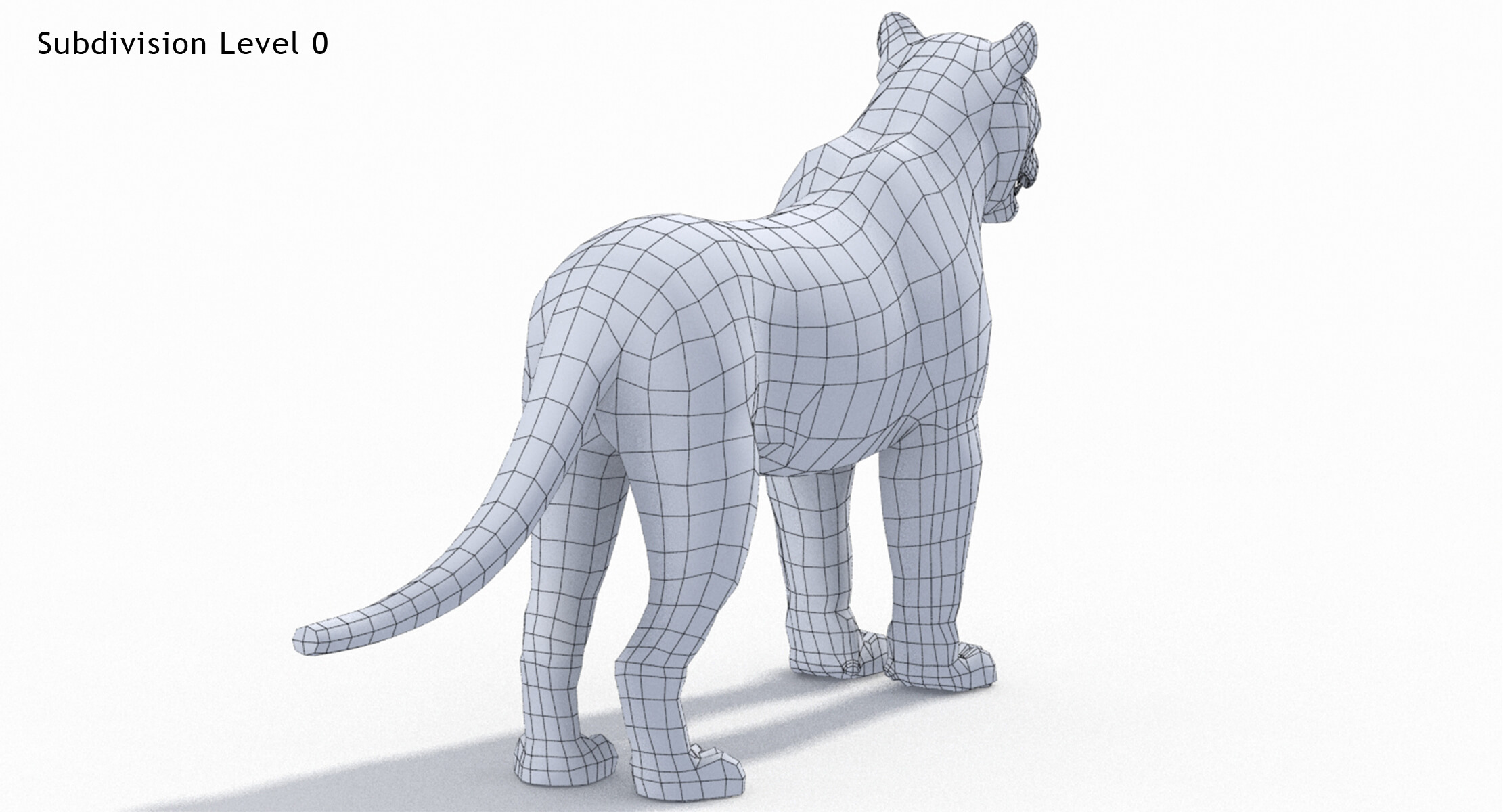 Tiger 3D Model 3D Model