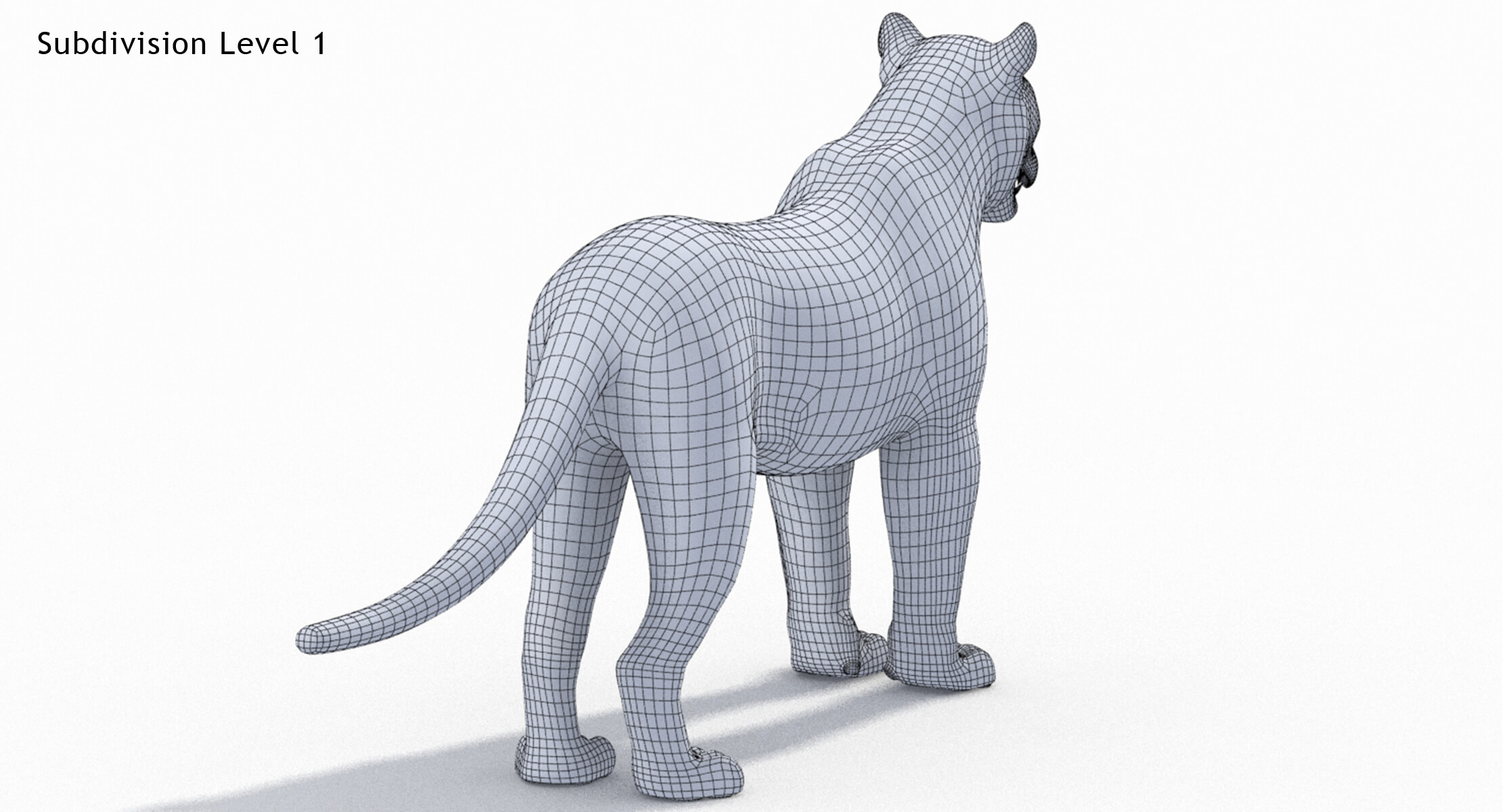 Tiger 3D Model 3D Model