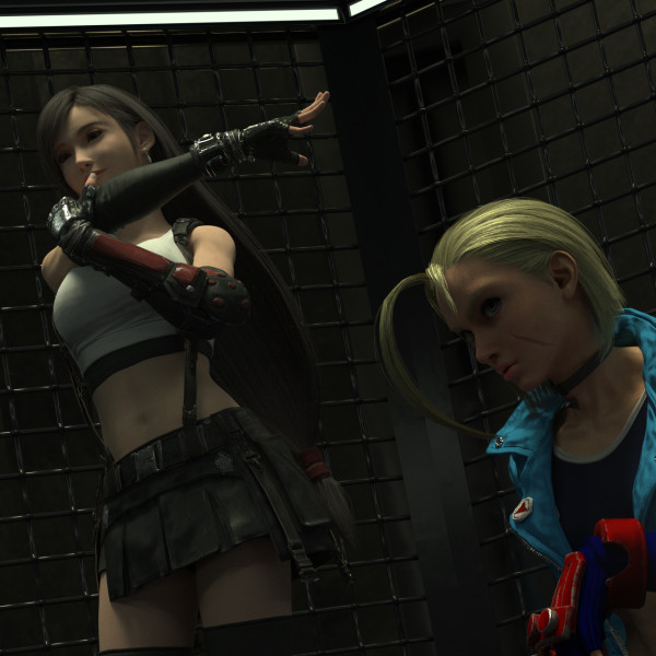 Tifa and Cammy