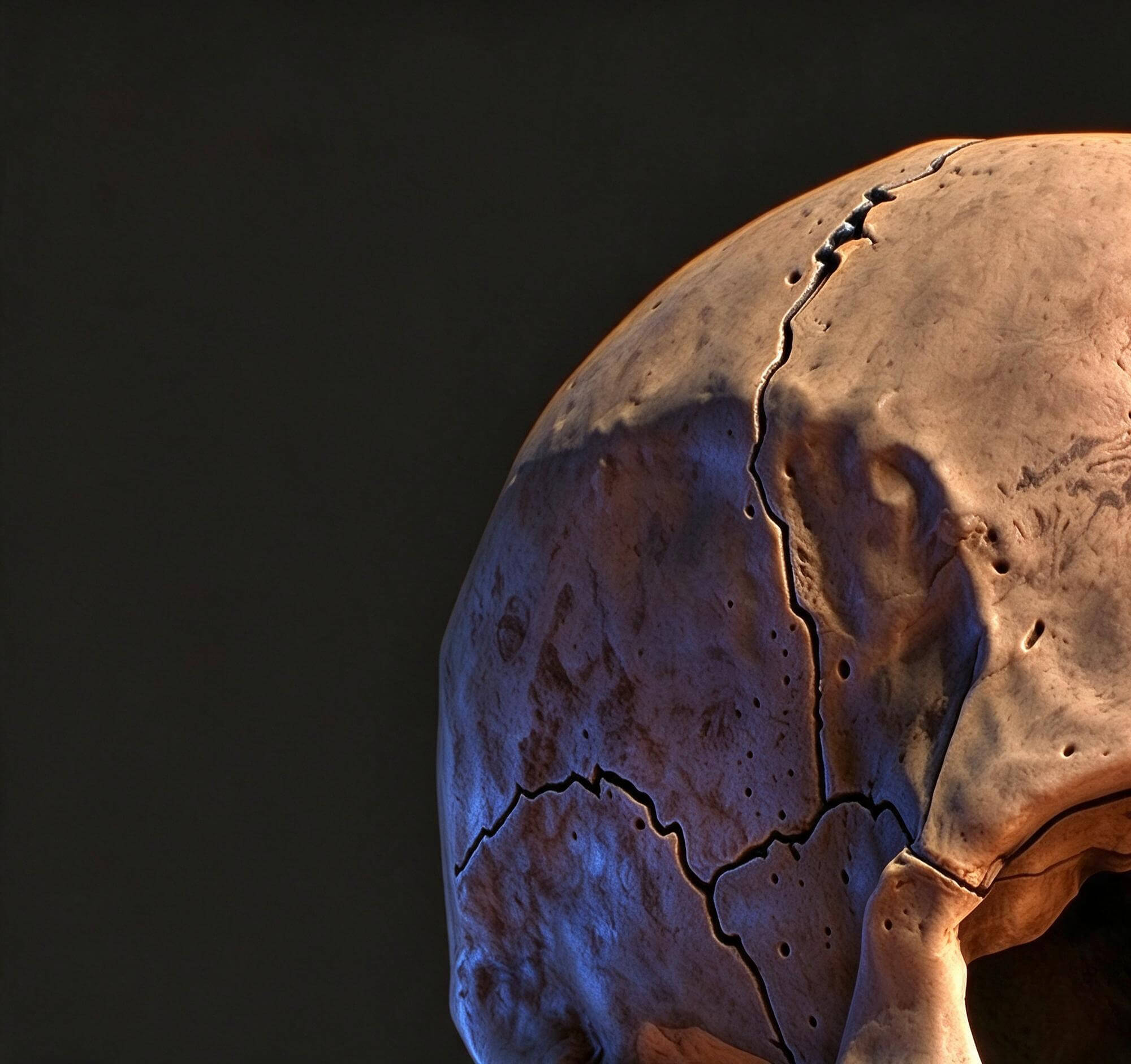 Cracked Weathered Human Skull 3D Model 3D Model