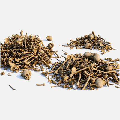 Human Skeleton Bone Pile Scattered Bones 3D Model