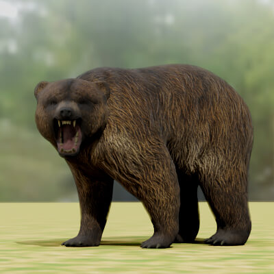 Brown Bear Model Rigged for Blender 3D