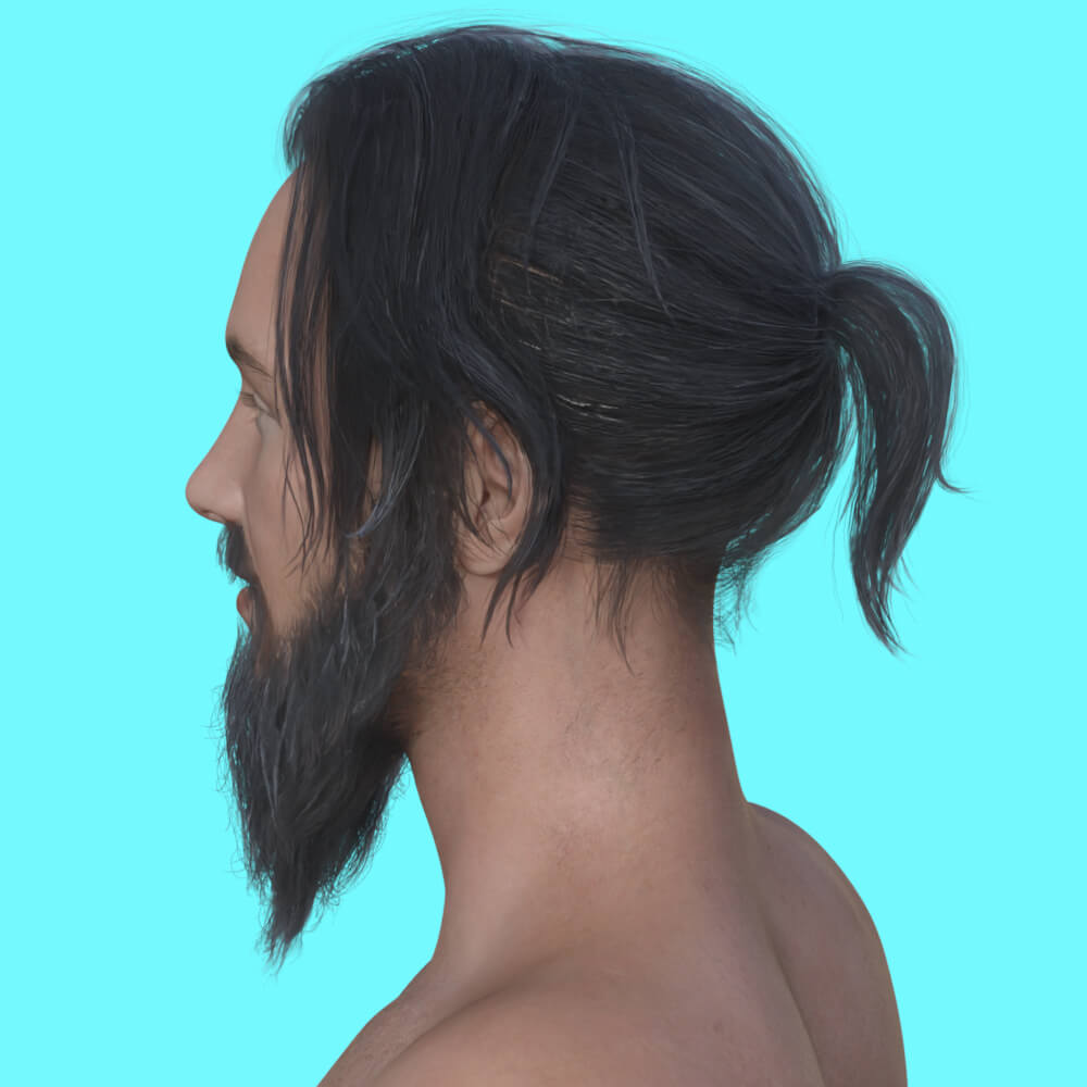 R3D Long Hair and Beard Set 01 for G8M Daz 3D Daz Content