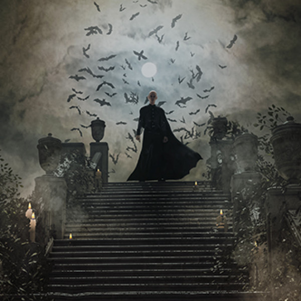 The Guest