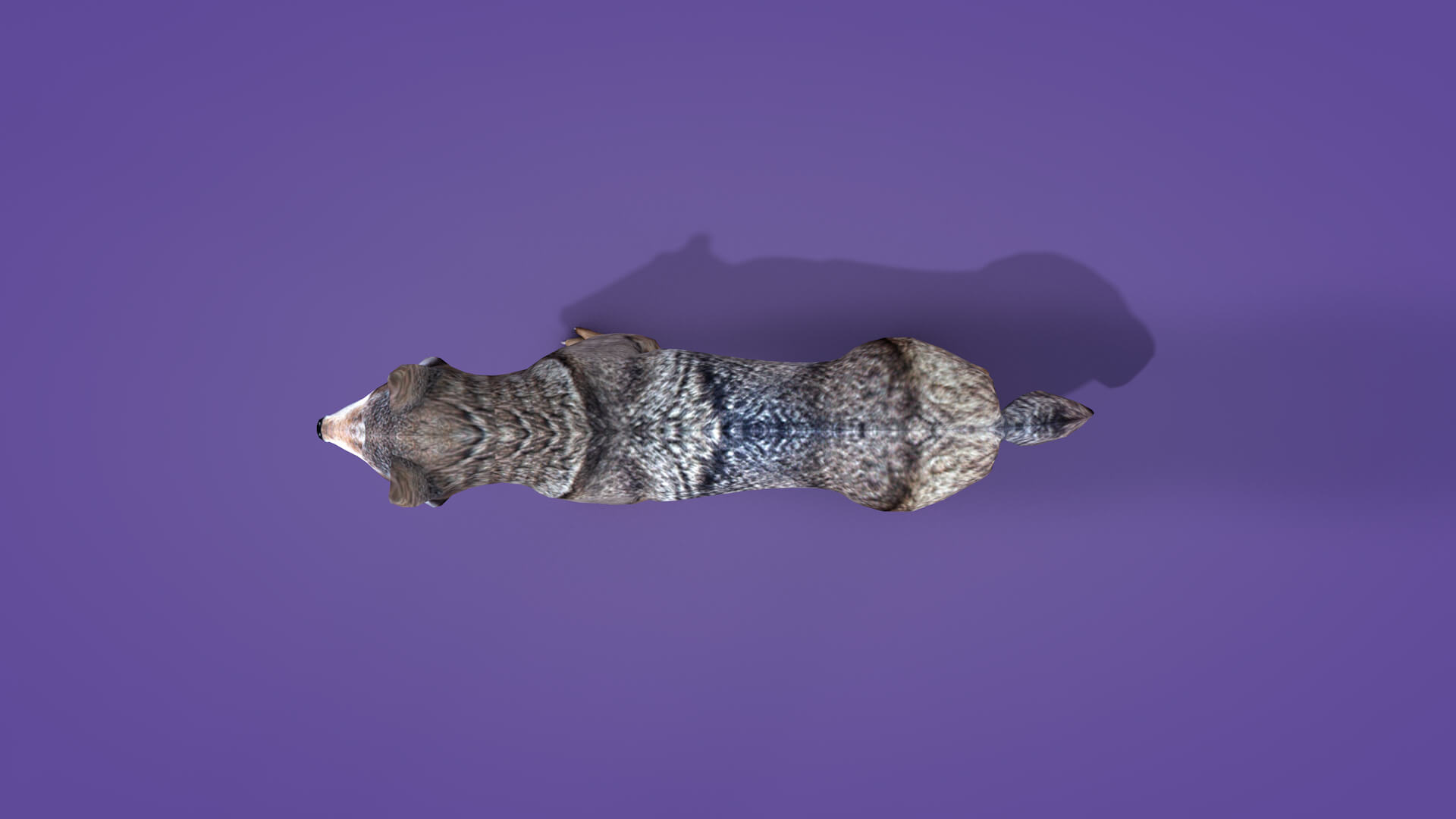 Iberian Wolf 3D Model