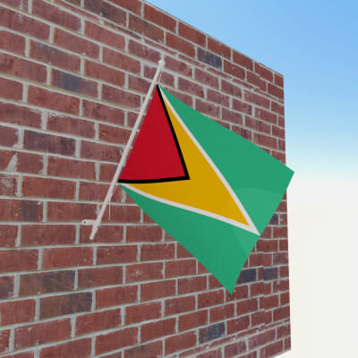 Flag of Guyana