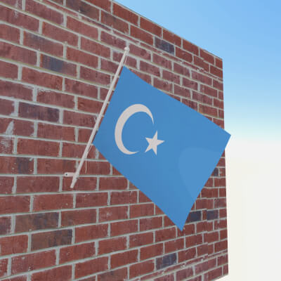 Flag of Kokbayraq