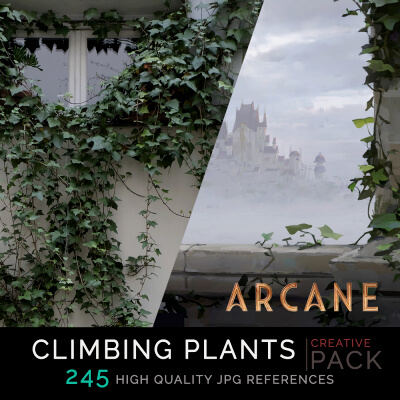 Climbing Plants